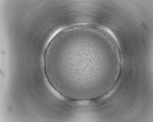 X0000090950859200708091327