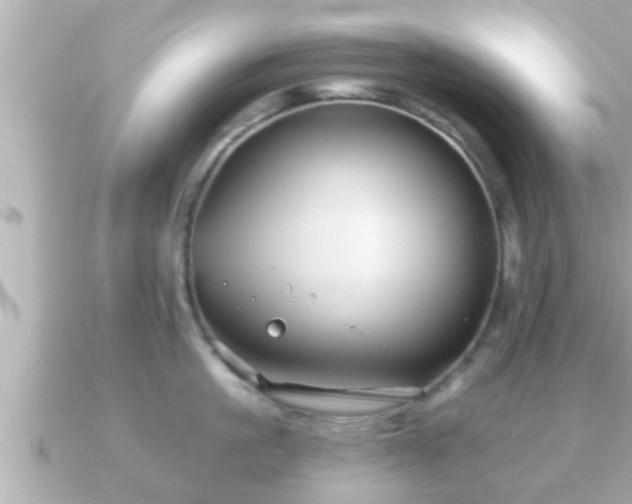 X0000090950861200708091327