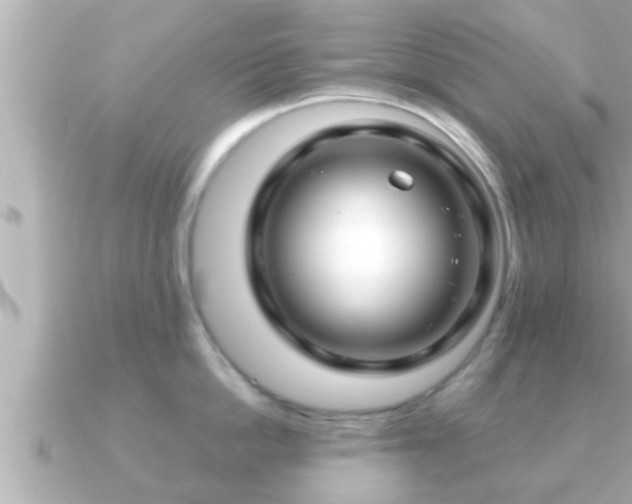 X0000090950862200708091327
