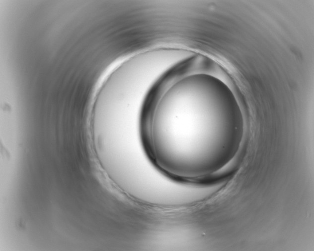 X0000090950864200708091327