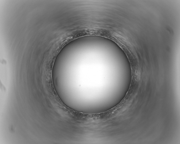 X0000090950865200708091326