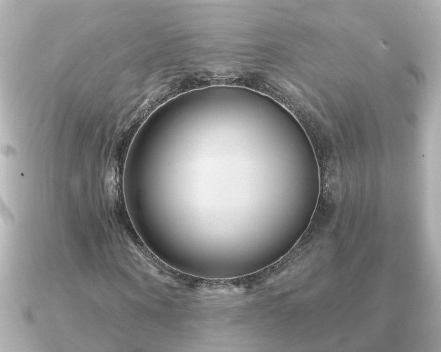 X0000090950866200708091326