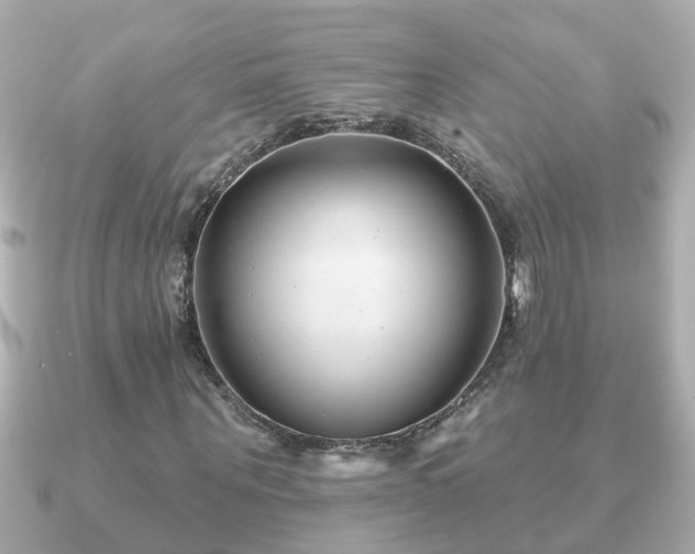 X0000090950867200708091326