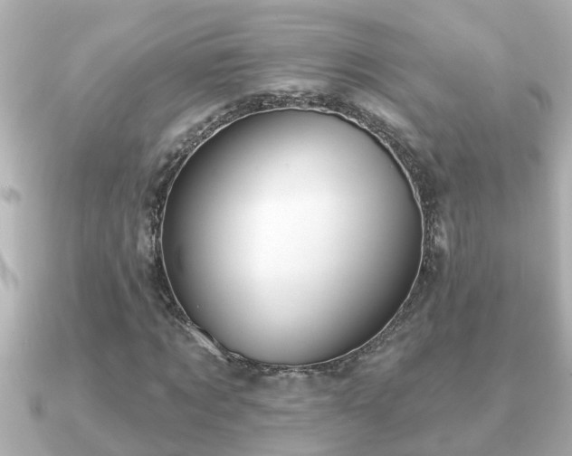 X0000090950869200708091326