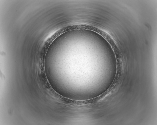 X0000090950871200708091326
