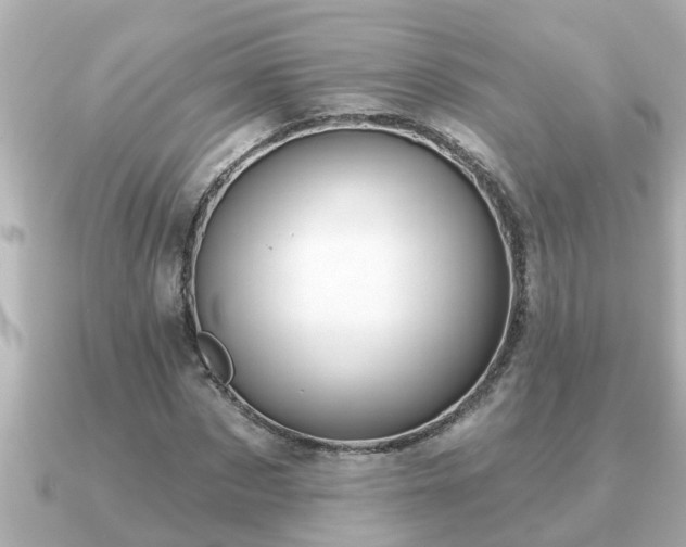X0000090950873200708091326