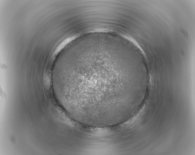 X0000090950874200708091326