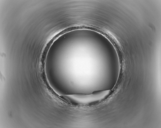X0000090950876200708091326