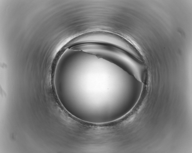 X0000090950877200708091326