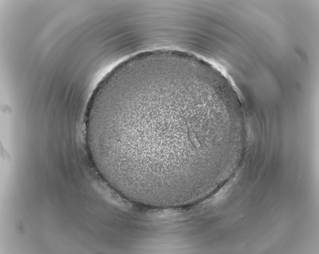 X0000090950879200708091326