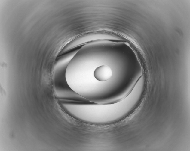 X0000090950881200708091326