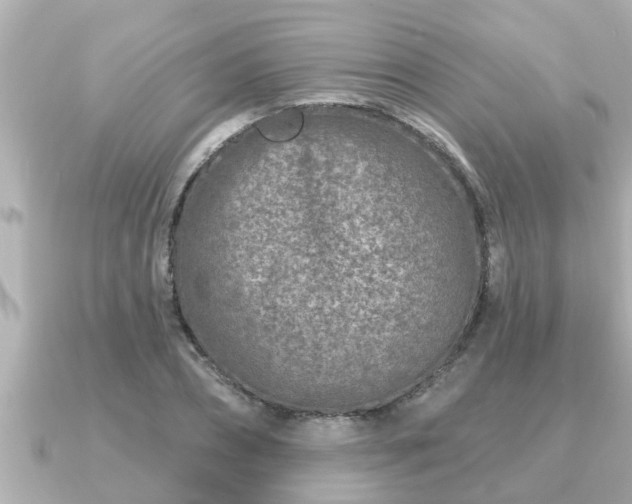 X0000090950882200708091326
