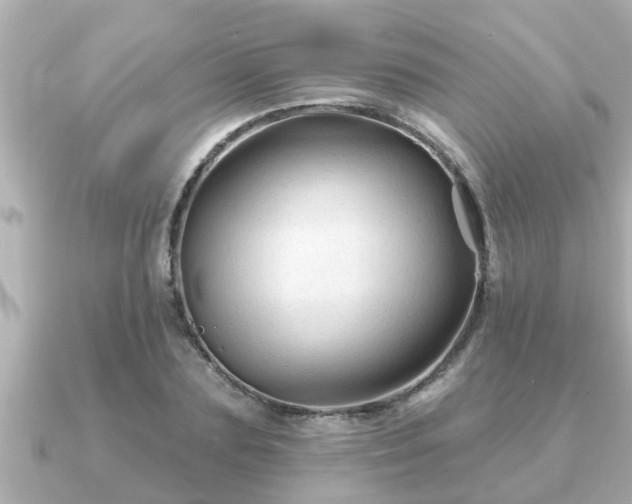 X0000090950883200708091326