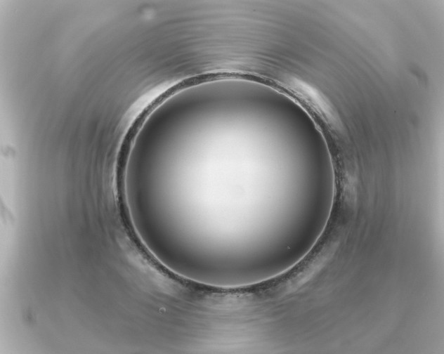 X0000090950884200708091326