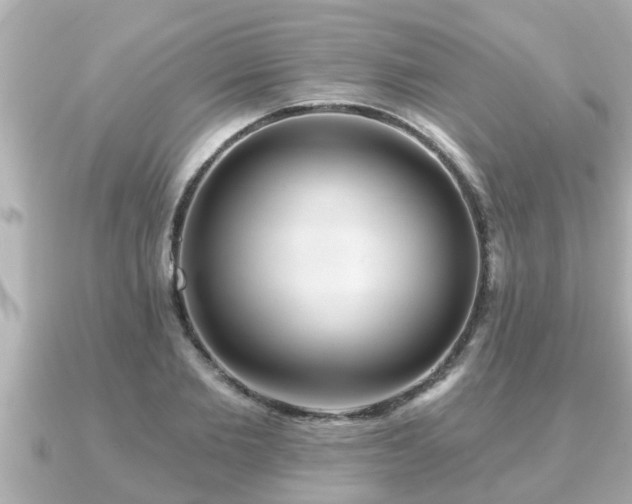 X0000090950885200708091326