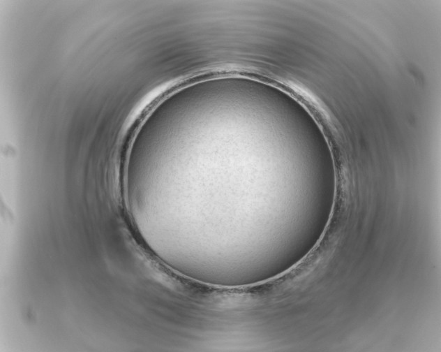 X0000090950886200708091326