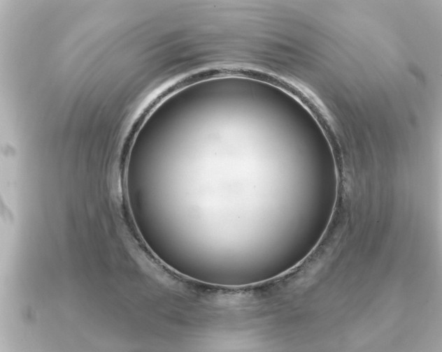 X0000090950887200708091326