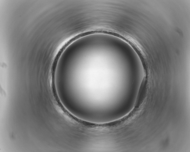 X0000090950888200708091326