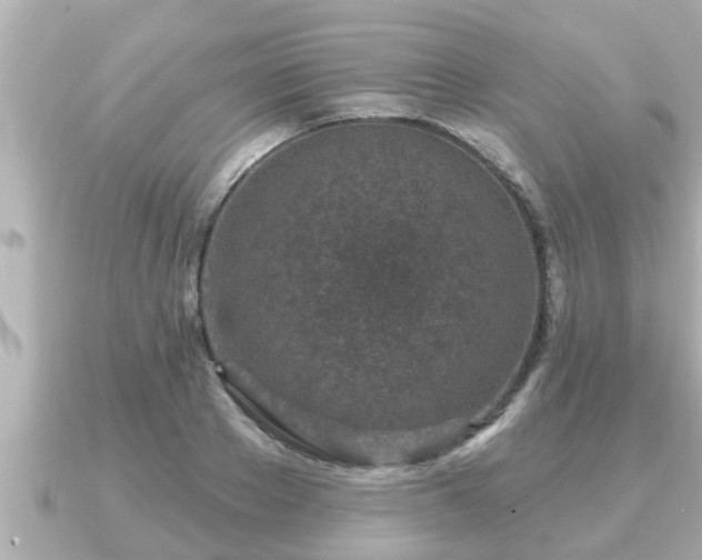 X0000090950889200708091326