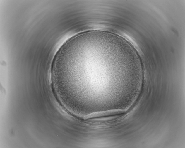 X0000090950891200708091326