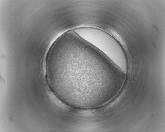 X0000090950892200708091326