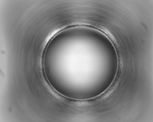 X0000090950893200708091326
