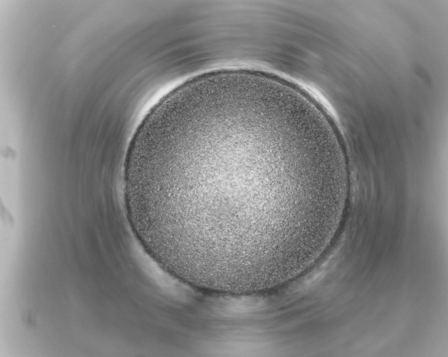 X0000090950895200708091326