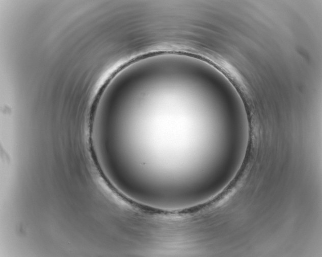 X0000090950896200708091326