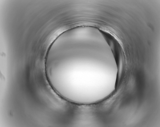 X0000090950898200708091326