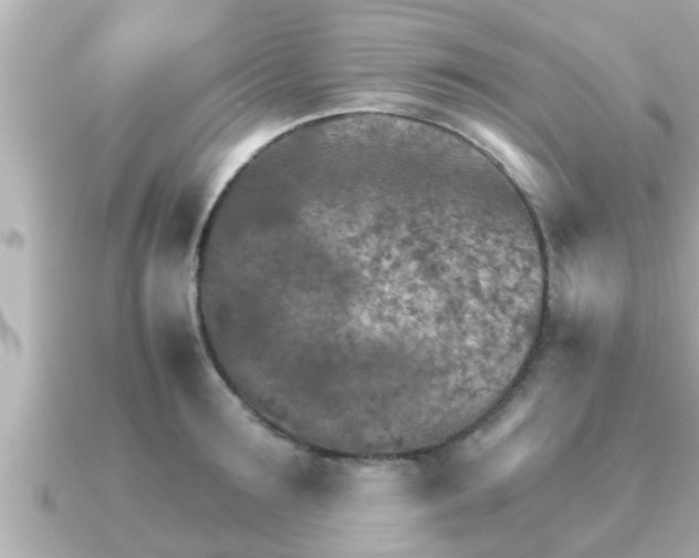X0000090950899200708091326