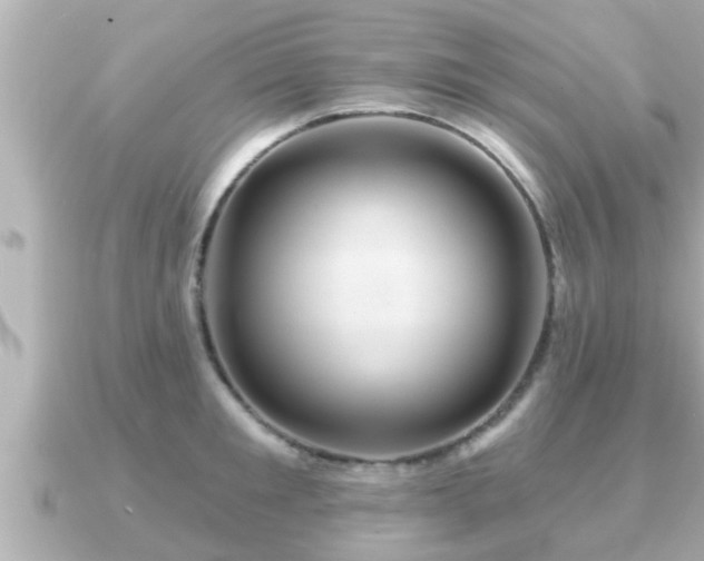X0000090950901200708091326