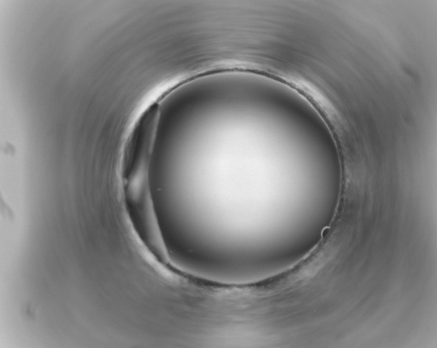 X0000090950902200708091326
