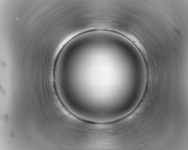 X0000090950904200708091326
