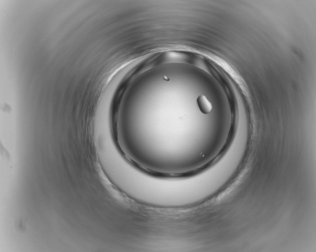 X0000090950905200708091326