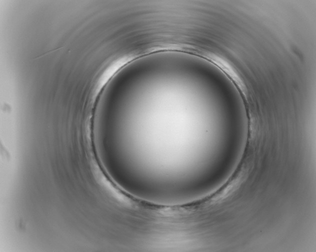 X0000090950906200708091326