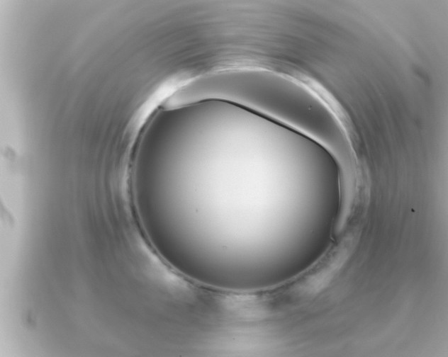 X0000090950909200708091326