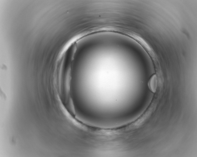 X0000090950910200708091326