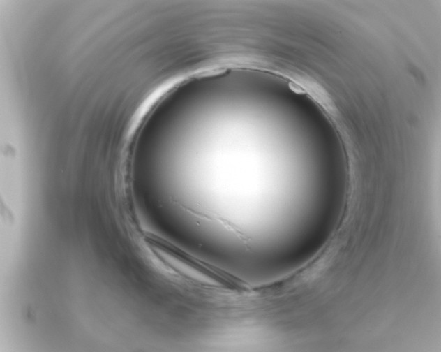 X0000090950912200708091326