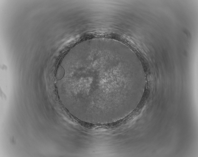 X0000090950913200708091325