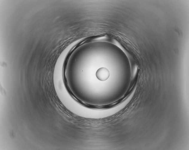 X0000090950914200708091325