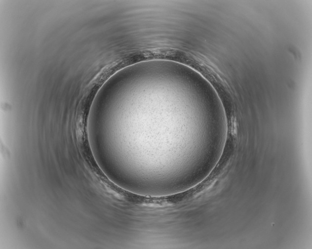 X0000090950915200708091325