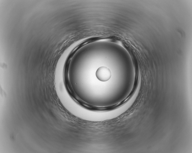 X0000090950916200708091325