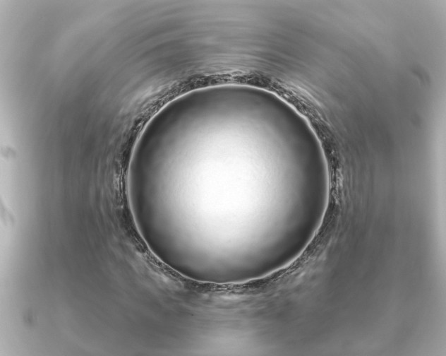 X0000090950917200708091325