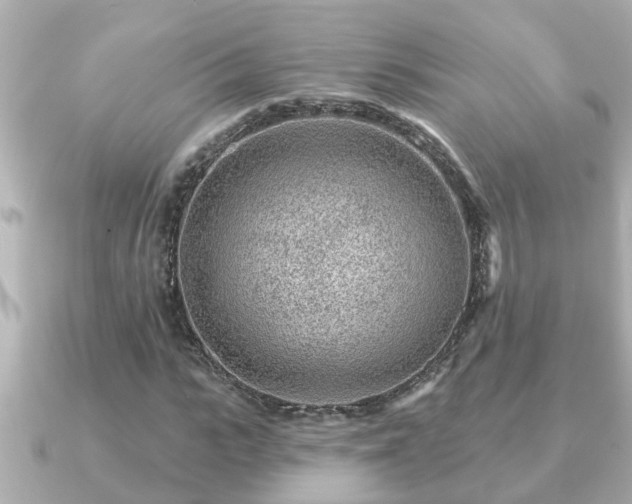 X0000090950919200708091325