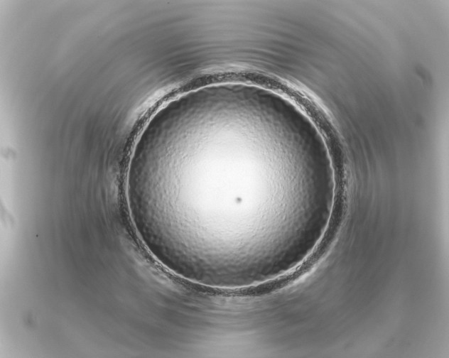 X0000090950921200708091325
