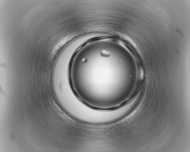 X0000090950922200708091325