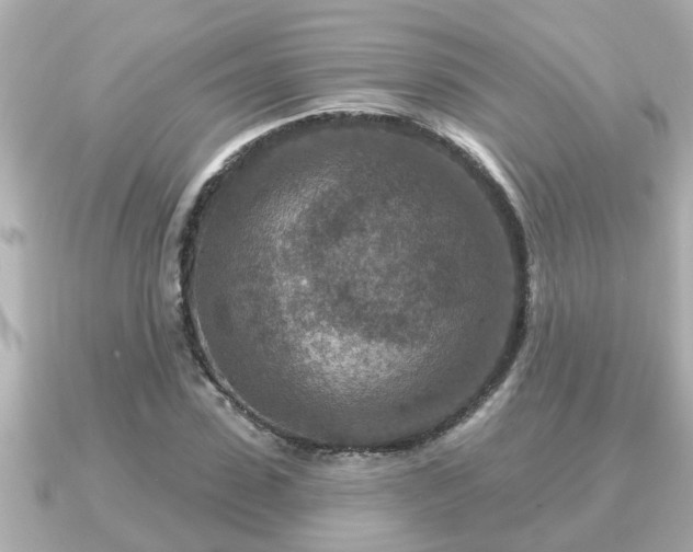 X0000090950923200708091325