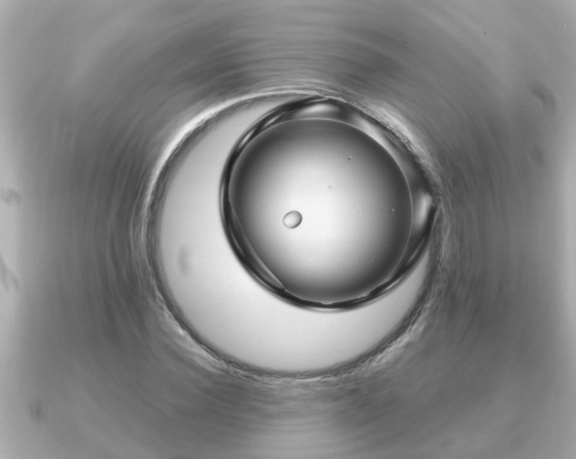 X0000090950924200708091325