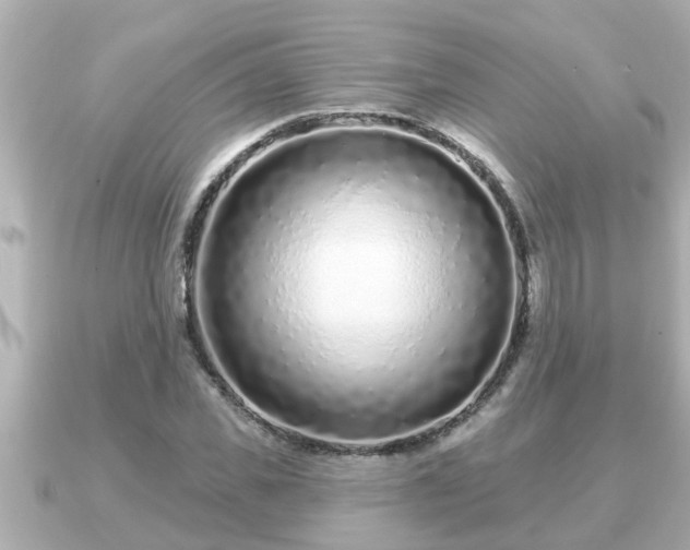 X0000090950925200708091325