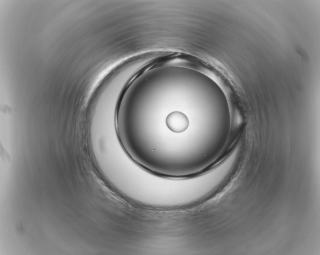 X0000090950926200708091325